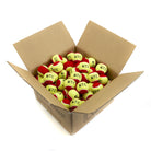 Red Mini Tennis Balls - carton of 10 dozen Slocoach Big Red from Zsig